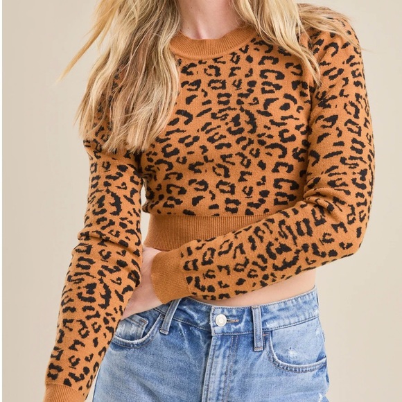 Altar'd State Sweaters - NEW Altar’d State Leopard Print Crop Sweater Top Size XL NWT